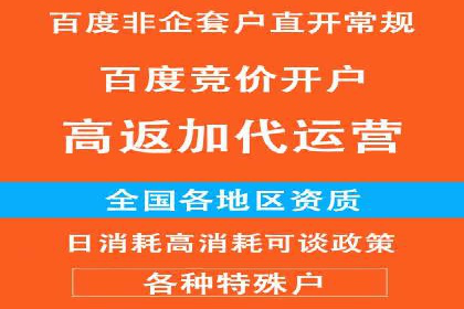 探索SEM竞价员的核心工作与案例分析